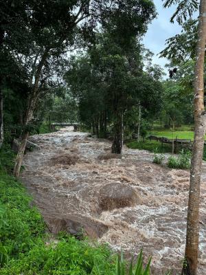 อุทยานแห่งชาติภูสอยดาวขอประกาศปิดการท่องเที่ยวและพักแรมบริเวณลานสน 